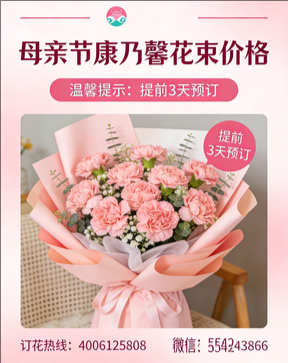 延安延川县花店母亲节康乃馨花束