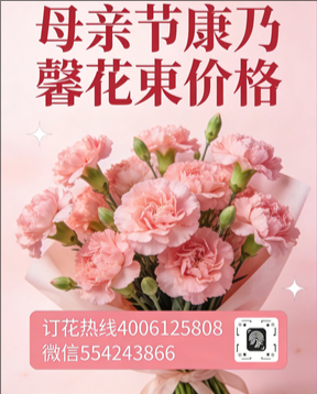 延安延川县花店母亲节康乃馨花束